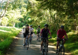 Hoa Lu - Tam Coc biking 1 day