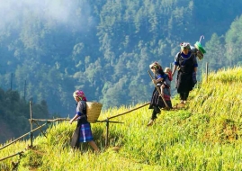 Sa Pa Trekking 2 days/1 night, Homestay by Night Train