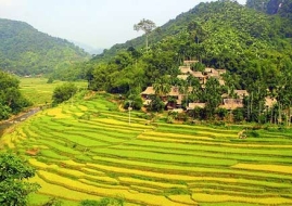 Hanoi – Mai Chau – Pu Luong – Ninh Binh - Tam Coc 4 Days